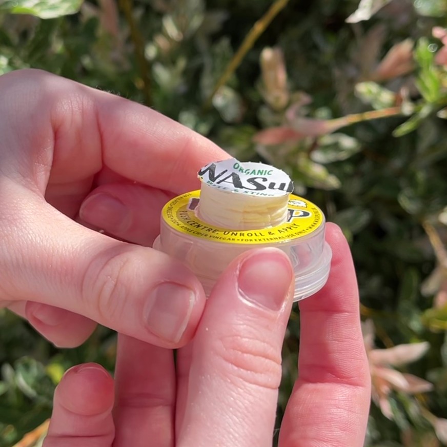 Step 2 - Wipe appears